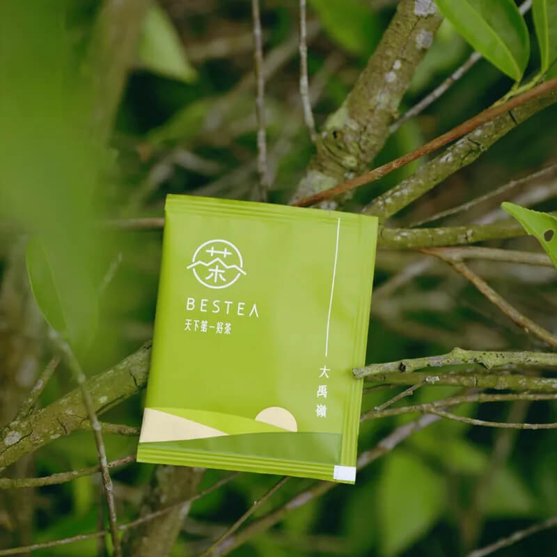 大禹嶺茶包置於茶樹枝間,象徵台灣高山茶的天然純淨
