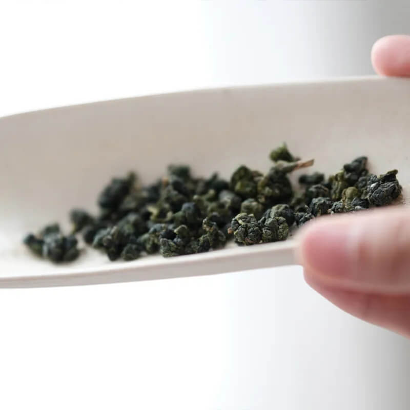 福壽山義莊茶乾茶展示,台灣高山茶青心烏龍緊結茶葉