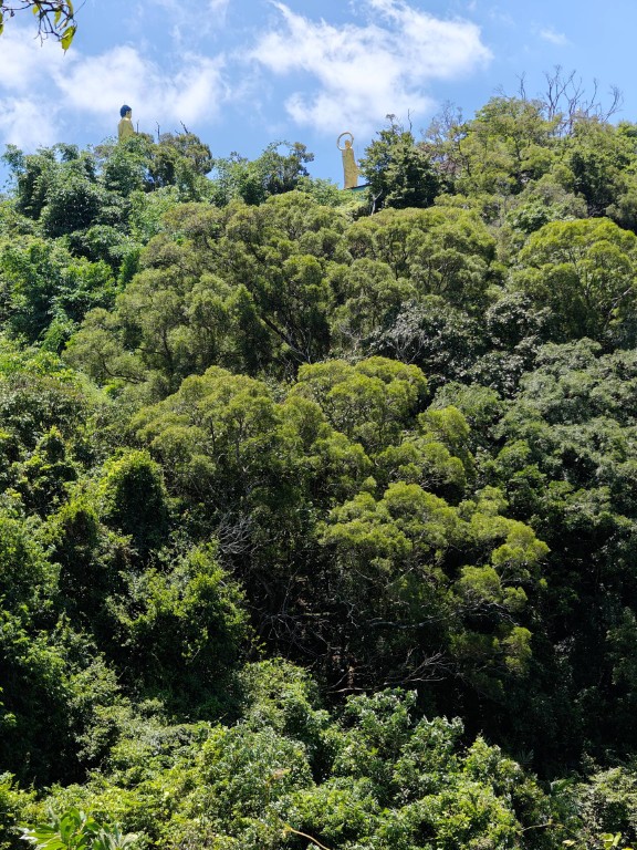 Looking up towards the Yufosi Temple statue from the Nan Guanyinshan path.