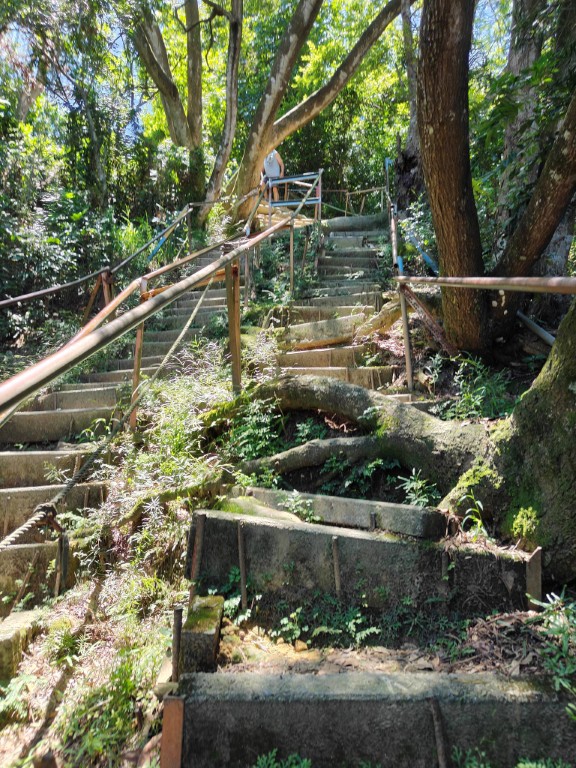 The staircase trail before the summit of Nan Guanyinshan: a steep hiking section with a mixture of steep slopes and tree roots.