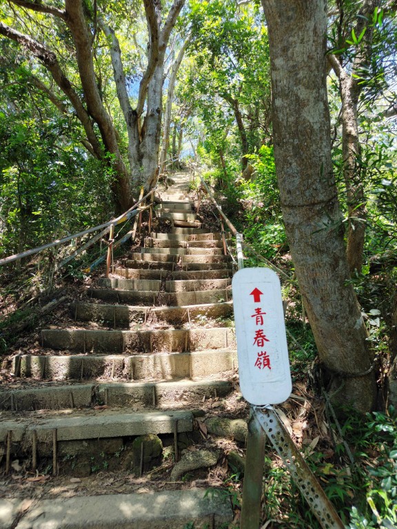 青春嶺登山段階梯與『青春登頂』指標,林間步道筆直爬升