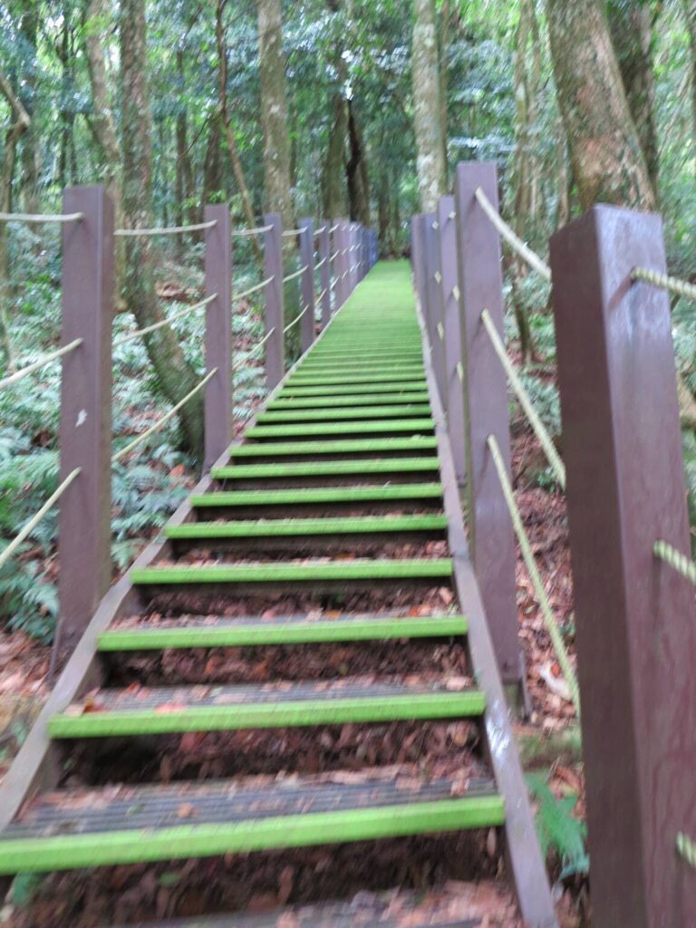 攀登馬拉邦山山頂前的最後一段好漢坡階梯，陡峭的鐵梯反映出馬拉邦山難度，是攻頂前對體力的最終考驗。