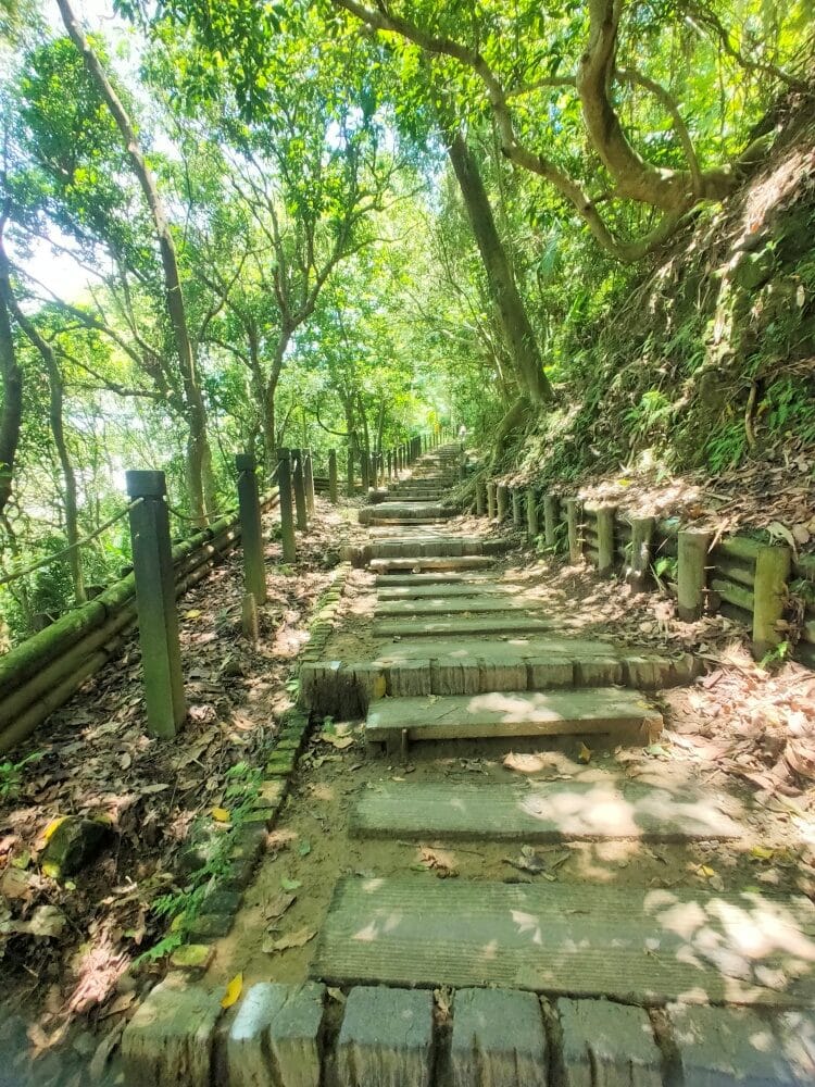 林蔭步道