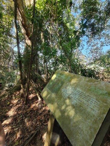 Shuangqi Ambuping Trail - Centennial Beechwood