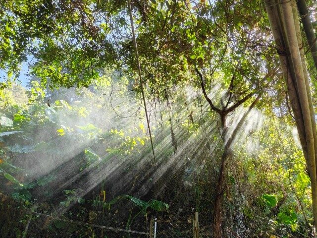 Shuangqi Ambuping Trail - water mist