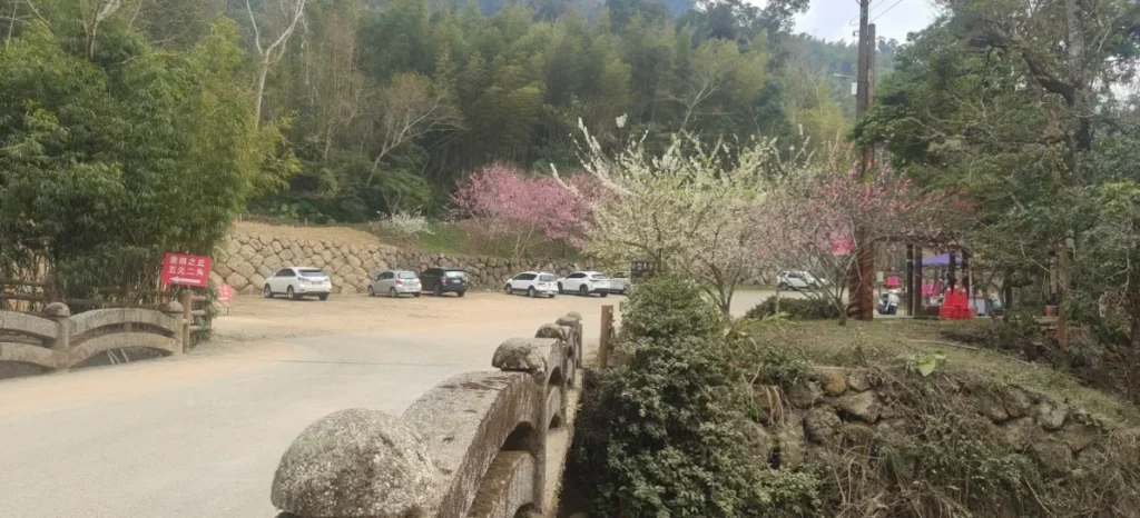 1.九芎神木停車場