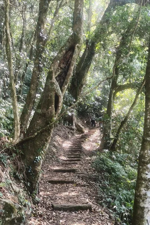 14.步道