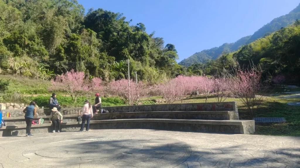 16觀星坪